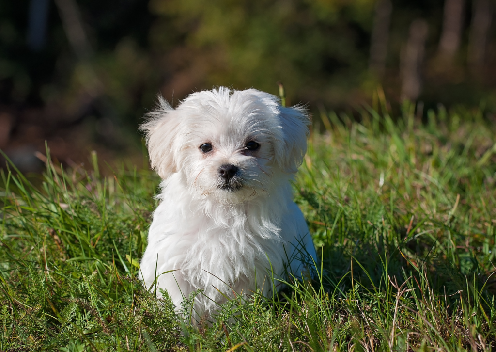 Encerrados en el ascensor